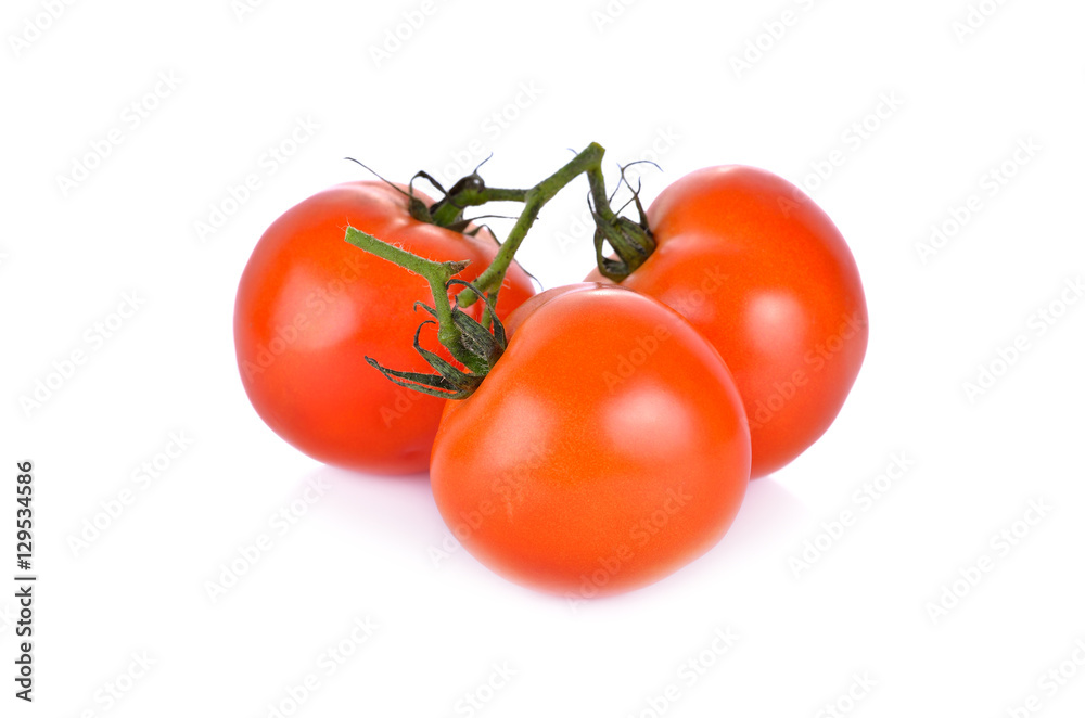 whole fresh tomato with stem on white background whole fresh tomato with stem on white background