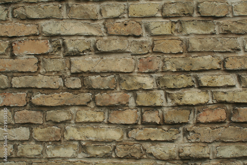 Fototapeta premium Brick wall texture