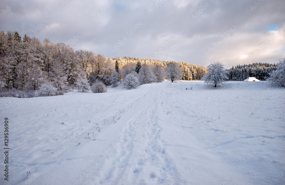 Beautiful winter landscape with snow covered trees. Beautiful winter landscape with snow covered trees.
