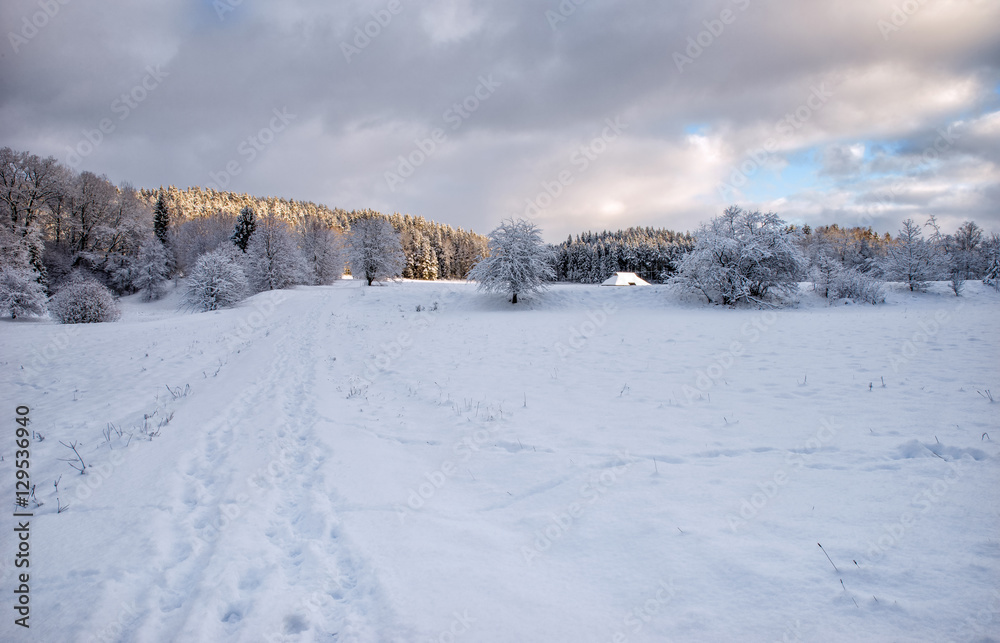 Beautiful winter landscape with snow covered trees. Beautiful winter landscape with snow covered trees.