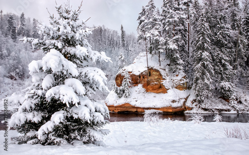 Beautiful winter landscape with snow covered trees. Latvia, Zvartes rocks photo