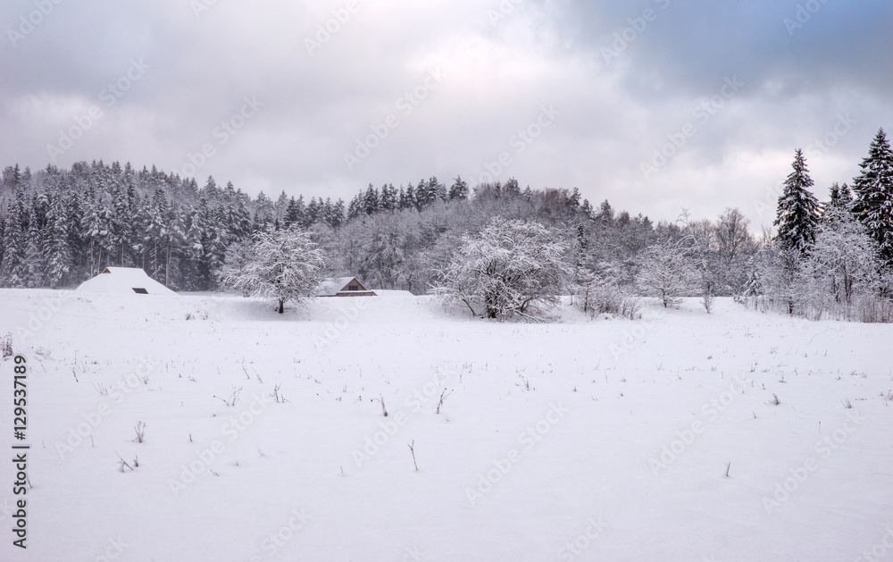 Beautiful winter landscape with snow covered trees. Beautiful winter landscape with snow covered trees.