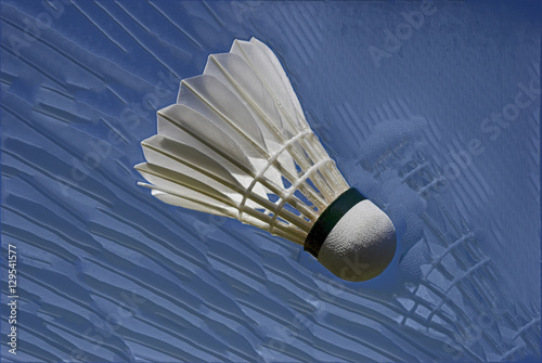Closeup Badminton Sport