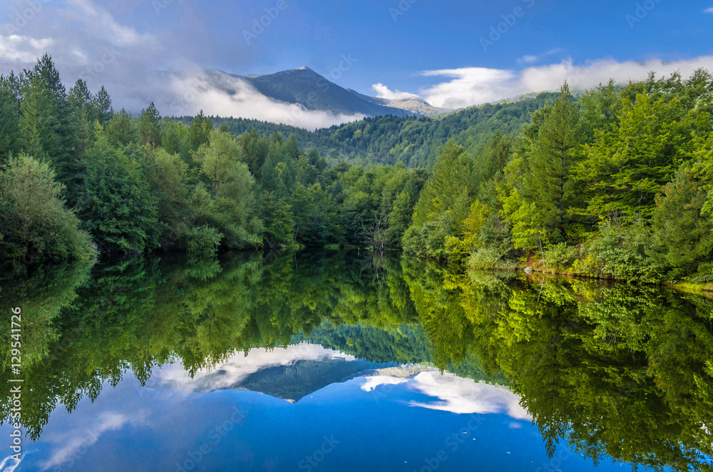 Naklejka premium nature