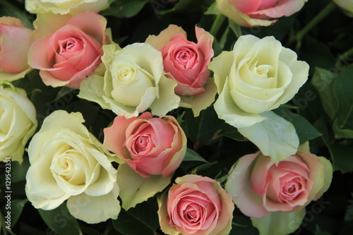 White and pink wedding roses