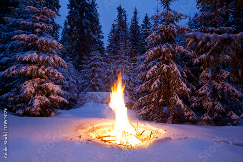Bonfire on snow fir forest