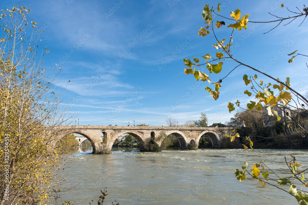 Rome (Italy) - The Tiber river and the Milvio Bridge