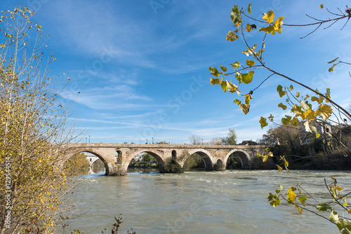 Obraz na płótnie Rome (Italy) - The Tiber river and the Milvio Bridge w salonie