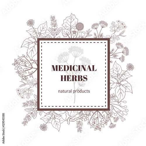Medicine plant decorative background. Vector botanical illustration with hand drawn herbs