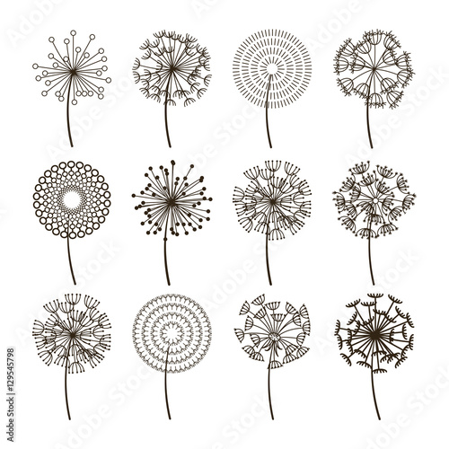 Dandelion flower icons. Dandelions fluffy seeds vector silhouettes