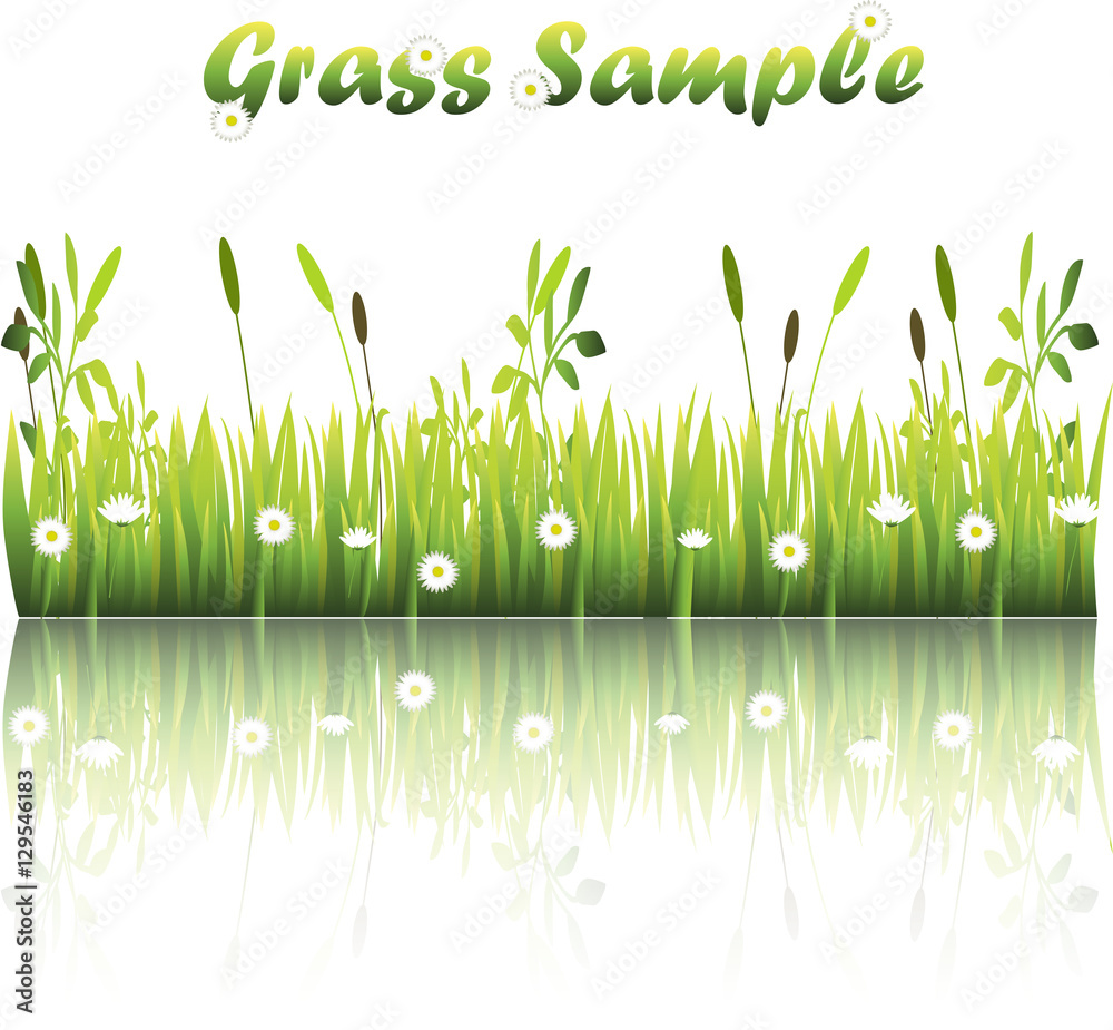 Fototapeta premium grass with flowers