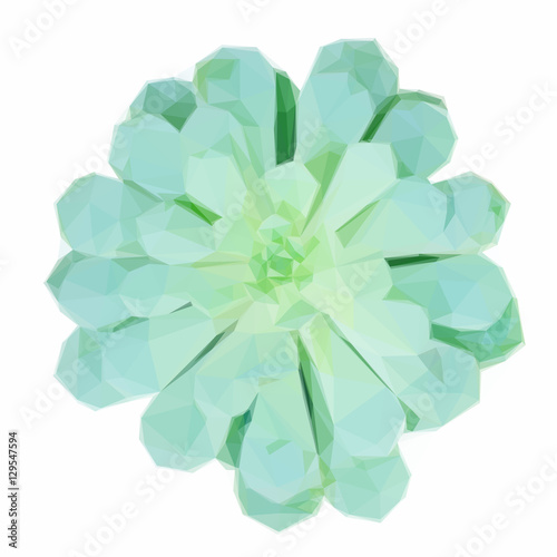 Low poly illustration Succulent green plant isolated on white background
