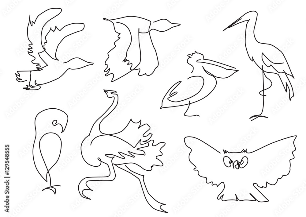 Obraz premium linear sketch birds silhouette