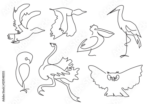Wallpaper Mural linear sketch birds silhouette Torontodigital.ca