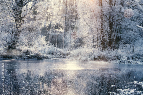 Gefrorene Winterlandschaft © Shutter81