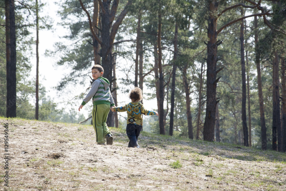 Spring in a pine forest with brother little sister holding hands