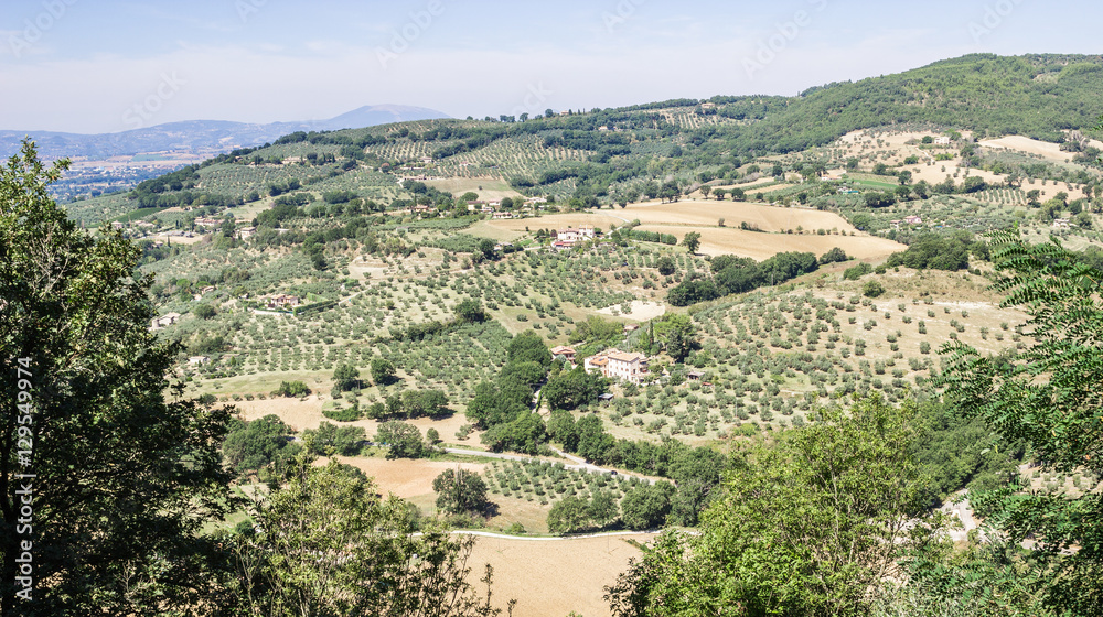 Panoramic view of beautiful typical italian fields landscape