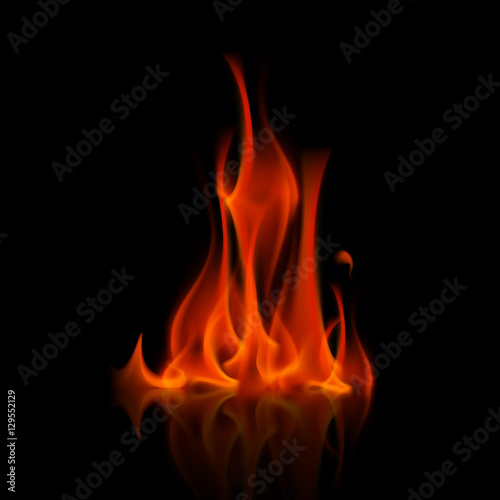Vector Red Fire Flame Bonfire Isolated on Background