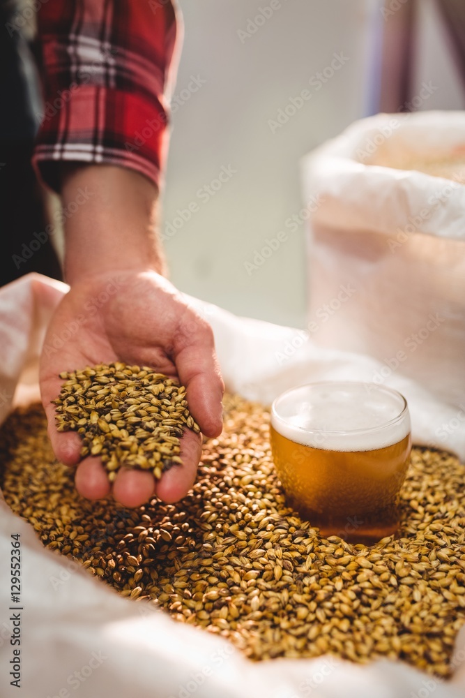 © WavebreakMediaMicro - Manufacturer holding barley by beer glass in sack © WavebreakMediaMicro - Manufacturer holding barley by beer glass in sack