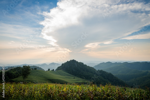 corn field and mountain on sunset landscape