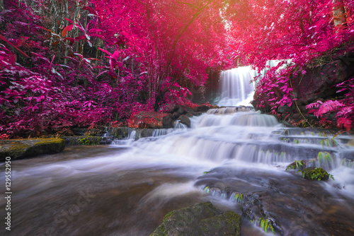 beautiful waterfall in rainforest at phu tub berk mountain phet © CasanoWa Stutio