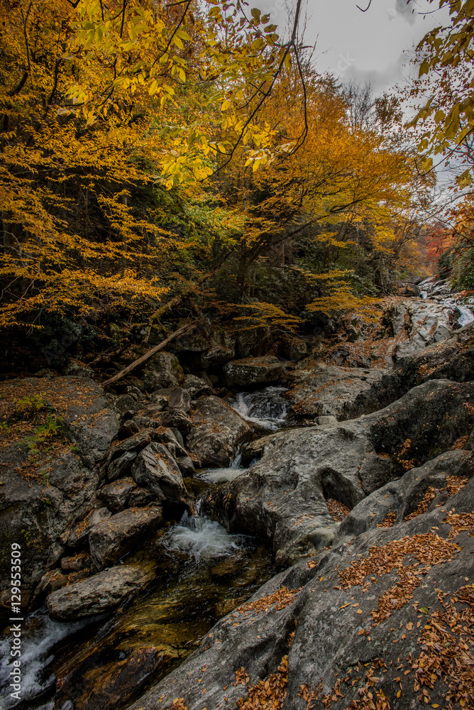 Obraz premium Waterfall at Sams Branch in Fall