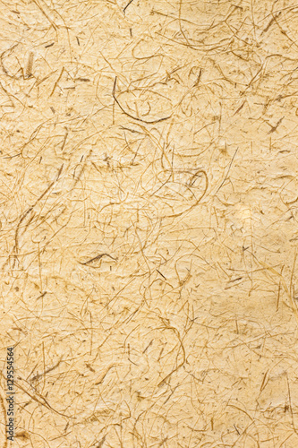 Wallpaper Mural Mulberry paper background or handmade paper texture Torontodigital.ca