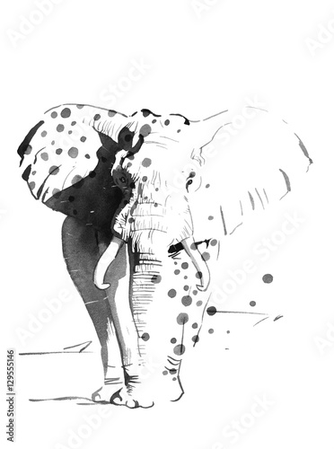 Obraz na płótnie słoń akwarela