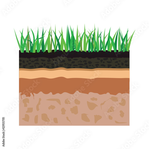 soil layers with grass