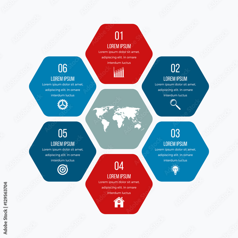 Vector illustration infographics six hexagons