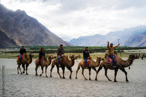 Hunder Sand Dunes of Nubra Valley. photo