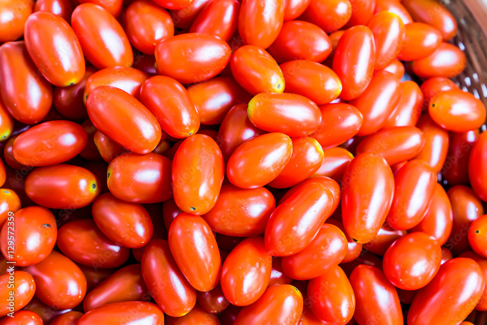 The tomatoes background. The group of the tomatoes. The tomatoes background. The group of the tomatoes.