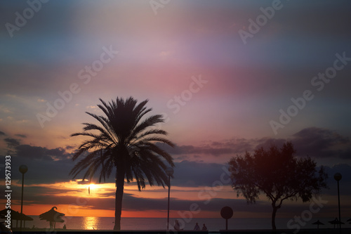 Sonnenaufgang unter Palmen am Meer Mallorca Spain
