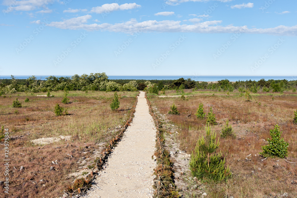 Path on Curonian spit, Lithuania.