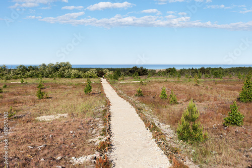 Path on Curonian spit  Lithuania.