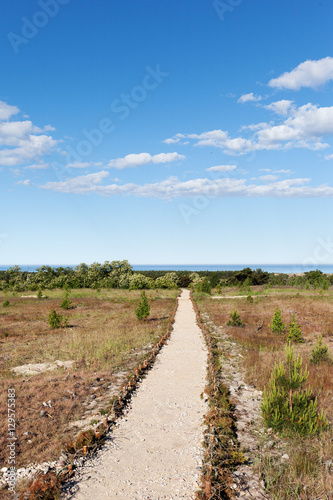 Path on Curonian spit, Lithuania.