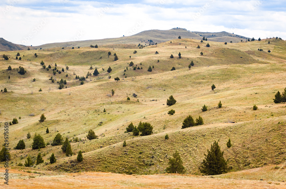 Obraz premium Oregon High Desert