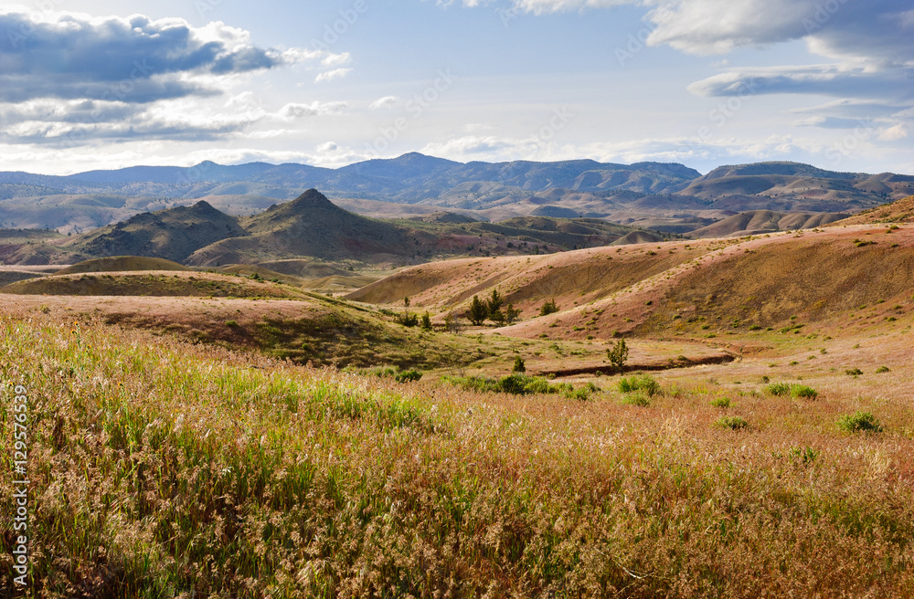 Fototapeta premium John Day Fossil Beds National Monument