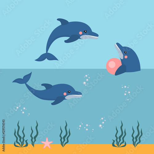 dolphin show, dolphinarium, sea lion, seal, aqua circus, ocian animal