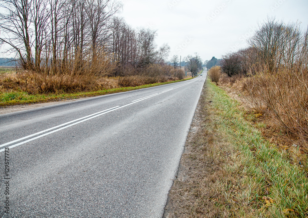 Fototapeta premium road in the country