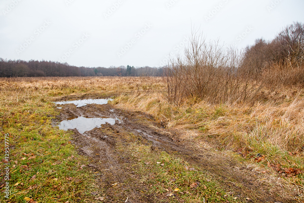 broken dirt road in the field broken dirt road in the field