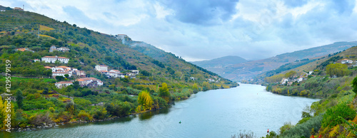 Portugal Porto wine wineyar...
