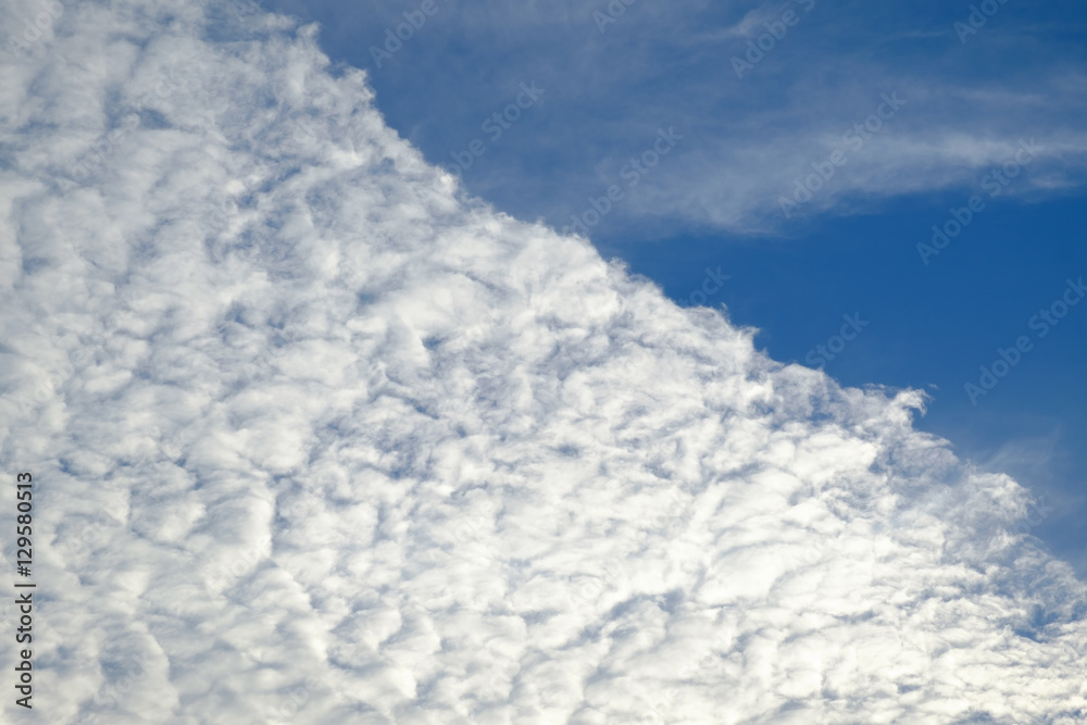 white strange altocumulus cloud with blue sky background white strange altocumulus cloud with blue sky background