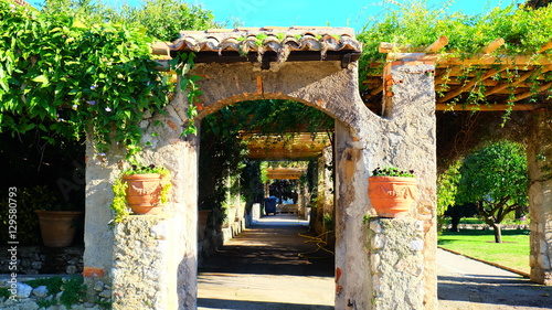 Garden in Cimiez  photo