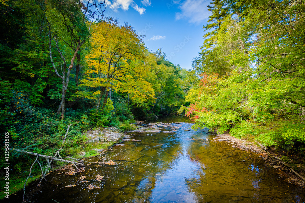 The Linville River near Linville Falls, along the Blue Ridge Par The Linville River near Linville Falls, along the Blue Ridge Par