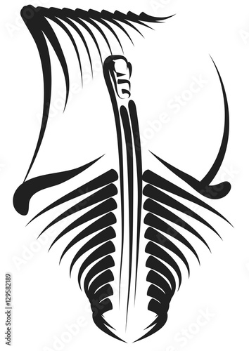 Viking ship design