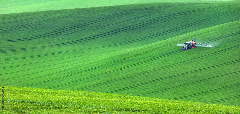 Fototapeta premium isolated tractor in green fields