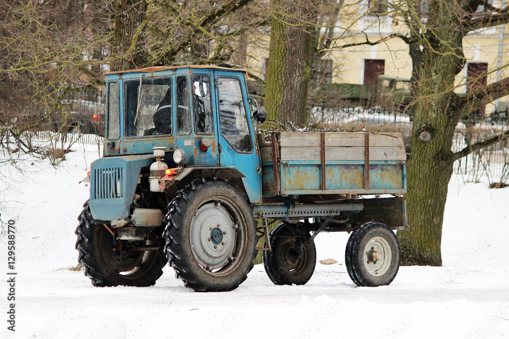 Park workers are loading twigs and debris in the body of economic tractor Park workers are loading twigs and debris in the body of economic tractor