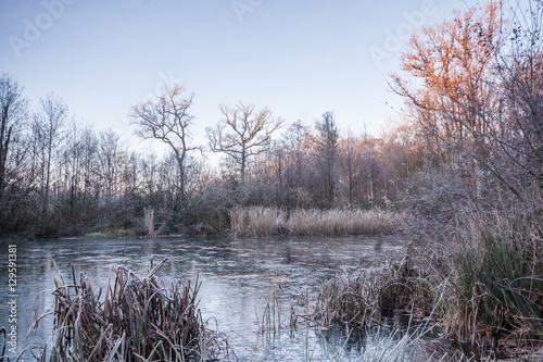 Wallpaper Mural Etang de Saint-Ange Torontodigital.ca