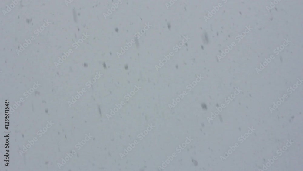 large snow flakes fall from the sky, closeup